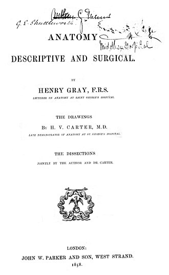 Gray's Anatomy